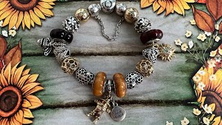 Pandora Fall Bracelet / Two-tone bracelet / Shine-Silver