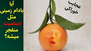 عجیب ترین دانستنی های خوردنی