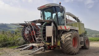 CLAAS JAGUAR 890 | NEW HOLLAND  - MASSEY FERGUSON - DEUTZ-FAHR | FATTORIA DEL PROFESSORE