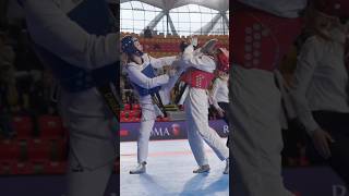 knockout fight#taekwondo#trending#viral#martial