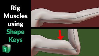 Blender Secrets - Shape Keys for Muscle Deformations 💪