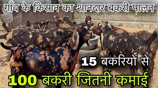 दीपक भाई का बकरी पालन 15 बकरी से होती है 100 बकरियों जितनी कमाई | goat farming at Village