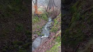 One of the many waterways in Cumbernauld #stream #burn #river #scotland