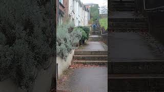 Insane stairs #biking #jump #fail #crash #crazy #satisfying #skatepark #bmx #mtb #viral #shorts