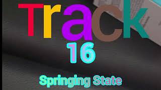 Track 16 - Springing State