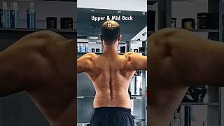 Underrated exercise for building thick back #shortsfeed #backworkout #back #workouttips #gym