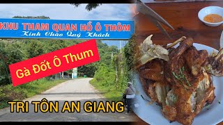 Milô Trà Sữa Đi Tri Tôn An Giang Ăn Gà Đốt Ô Thum Và Tắm Hồ Bơi Quán Vườn Nho 3/11/2024 #HồThanhThái