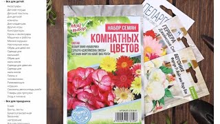 Набор семян комнатных цветов Хит продаж 5797810