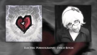 Mr. Strange - Disco Bitch (dirty electro industrial rock)