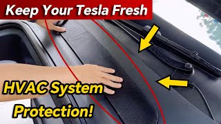 Avoid Bad Odors In Your Tesla With This!