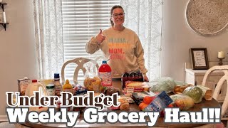 Weekly grocery Haul | I stayed WAY under budget!!