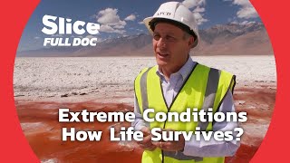 "Extremophiles" : Survivors of Salt and Acid | FULL DOCUMENTARY