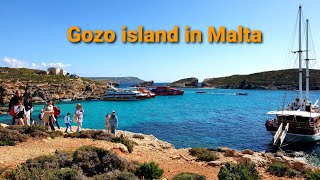 Gozo island in Malta | #gozoisland | Trip to Gozo island | Stunning view of Gozo island | #malta