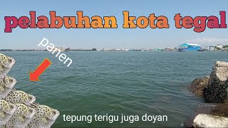 Mancing pelabuhan kota tegal  !! pemecah ombak Jongor #mancinglaut #mancingpelabuhan