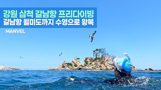 [맨블] 강원 삼척 갈남항 프리다이빙 | 월미도까지 수영으로 왕복 (4K)