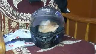 Cat video; Cat inside a helmet