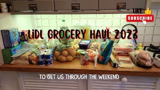 Lidl Grocery Haul (expat in poland 2023)