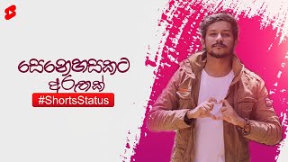 Senehasakata Aruthak | සෙනෙහසකට අරුතක් #8D #short #status Sinhala Cover songs 2021