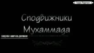Истории сподвижников Саид ибн Амир аль Джумахи