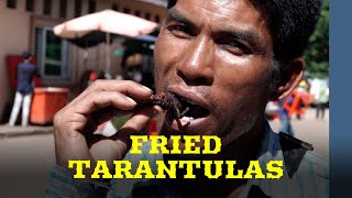 Deep fried tarantulas in Cambodia