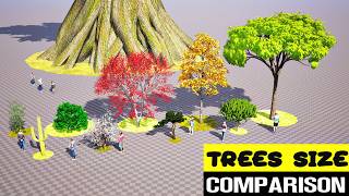 Trees Size Comparison | 3D Animation