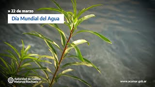 Día Mundial del Agua