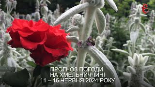 Прогноз погоди на 11 - 16 червня 2024 року в Хмельницькій області від Є ye.ua