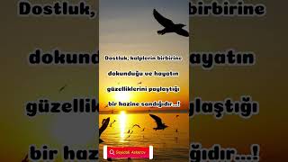 Dostluk nedir? #dostluk #anlamlısözler