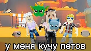 ловлю кучу петов/ловите питомцев Roblox