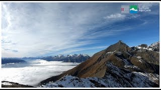 Campioni di biodiversità - il trailer