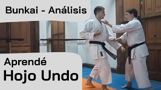 Uechi Ryu Hojo Undo - Bunkai (Análisis)