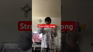 Stray kids song #straykids