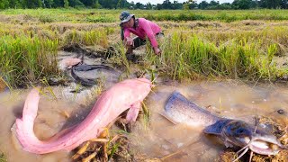 WOW that's awesome Catch a lot of fish by hand skill fisherman