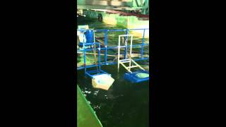 ECO WAVE POWER: WAVE CLAPPER AND POWER WING Testing.wmv