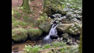 Kennall Vale Nature Reserve inland walk, Possenuth, Cornwall