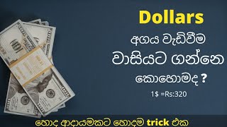 Best Idea to earn money (dollars) in sri lanka මේක තමා ගේමක් ගහන්න හොදම කාලෙ 🇱🇰