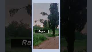 Raining in sunset. Farm full of trees and clouds. Nature. #rain #nature #youtubeshorts #ytshorts