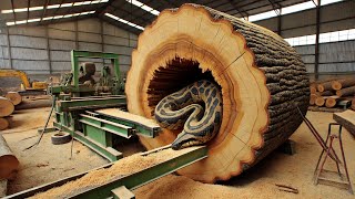 Monster Wood Sawmill in Action ‼️ Ultimate Log Cutting in Dallas, Texas