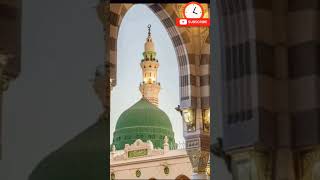 madina chod aaye apni duniya chod aaye he #video #shorts