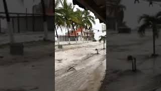 Se sale el MAR en Manzanillo, Colima. | Huracán NORA