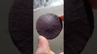 This is a sand dollar