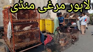 Ando Wali Murghi Shalimar Sunday Bazar Price update Lahore Pakistan