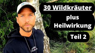 30 Wildkräuter + Heilwirkung Teil 2/3