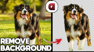 How to Remove the Background of Your Image INSTANTLY - Easy Tutorial