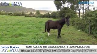 venta de hacienda en cuenca bienes raices casa nova