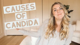 6 Common Causes Of Candida Yeast Overgrowth | Look out for these! (Candida Series Part 2)