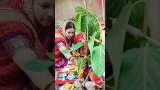 vatsavtri pooja#😍❤️#youtubeshorts #video