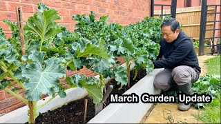 March Garden Update | Gardening Vlog | Growing Veggies In Backyard | Nepali Family UK | Nepali Vlog