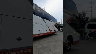 Bus Sultan Mtrans Royal Sultan Surabaya denpasar. #mtrans #denpasar #bali