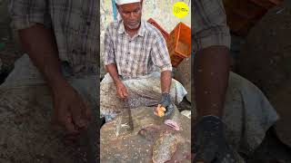 KASIMEDU FISH CUTTING VIDEO / cutting focus #bigfishcutting #bigfish #fishcuttingworld